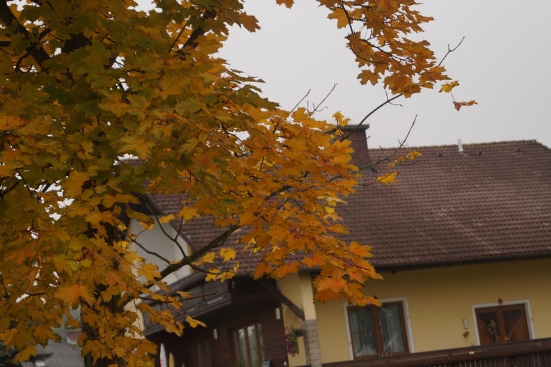 Sonbahar-Resimleri-Autumn-17102016_51.jpg
