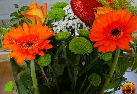 Çiçek-Resimleri-Flowers-Blumen-V110620210024-N116