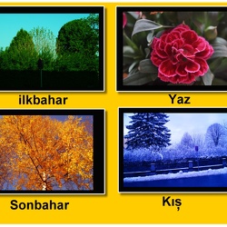 4 Mevsimi Gösteren Grafik Resim | Graphic Image Showing the 4 Seasons