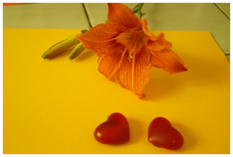 Turuncu Lilyum - Orange Lilium - Turuncu Zambak- V010720231536-N33.jpg